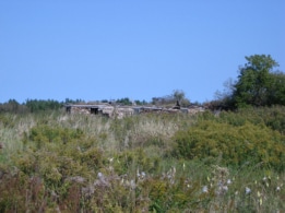 Drake Road (foundations of a barn?)